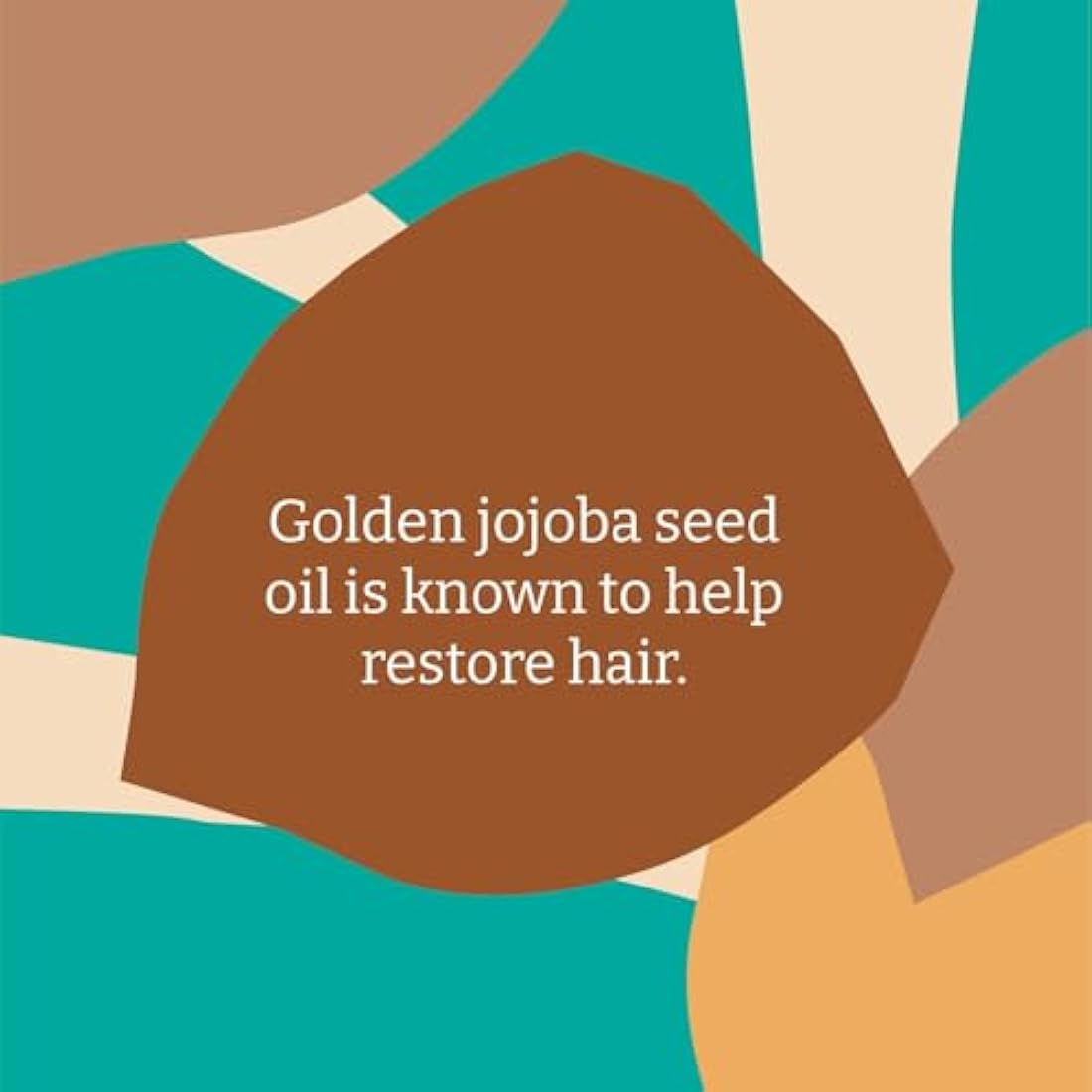 Faith In Nature Natural Jojoba Shampoo, Smoothing for Dry Hair & Scalp, Vegan & Cruelty Free, No SLS, Silicones or Parabens, 5L Refill Pack