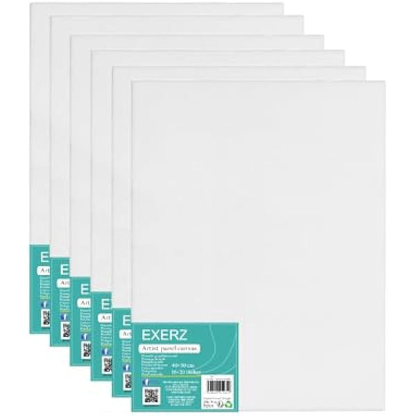 Exerz 40x50cm Canvas Panels 6pcs/ 3mm Artist Canvas Board Blank/ 280gsm 100% Cotton/Triple Primed/Acid Free/Medium Grain - Oil & Acrylic Painting for Artists at All Levels