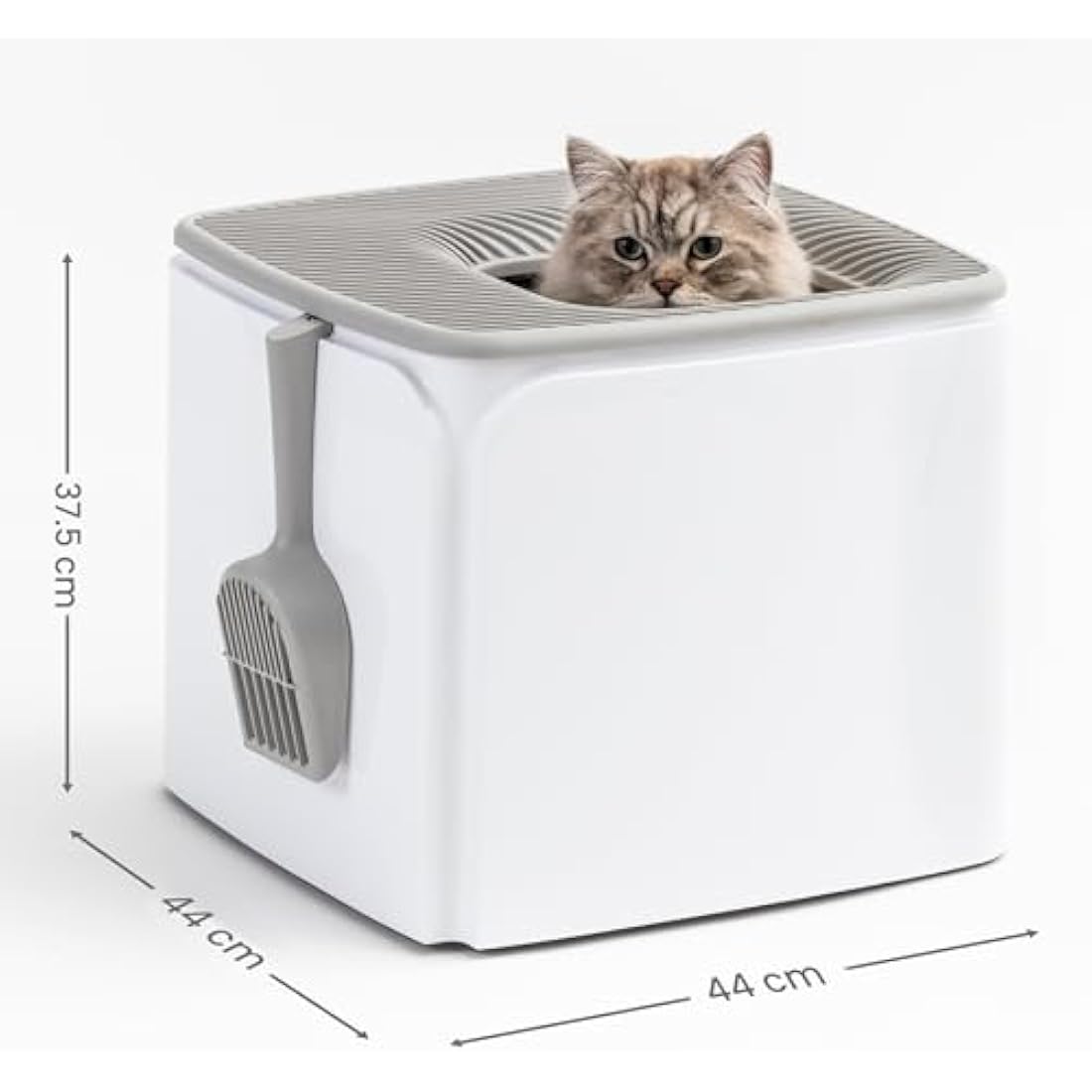 IRIS USA Premium Top Entry Cat Litter Box PRCL-SQ, White