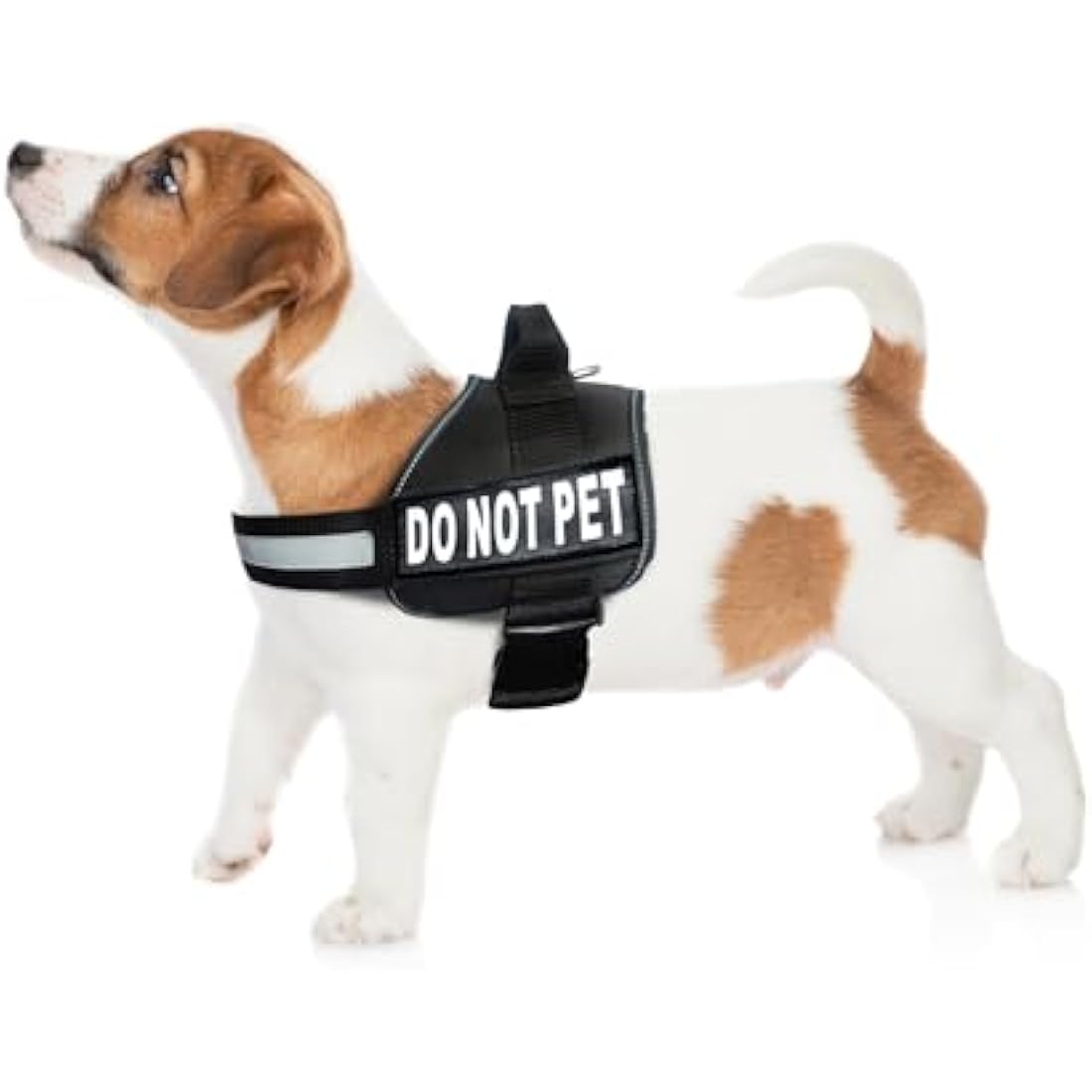 DO NOT PET Dog Vest Harness with Removable Patches and Reflective Trim. Comes with 2 DO NOT PET Reflective Removable Patches. Please Measure Dogs Girth Before Purchase