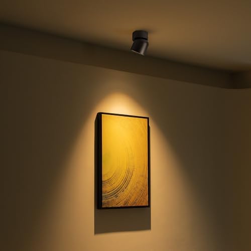 Aisilan 4 Pack Single Spotlight in Matt Black Dimmable 9W 3000K LED Adjustable 360° Spot Light Indoor Modern Rotatable Individual Spotlights for Ceiling or Wall Mounted