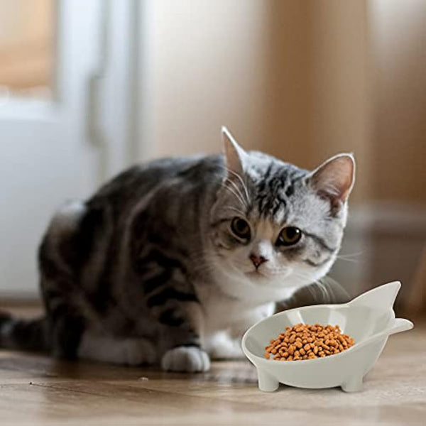 Cotill Cat Bowls, Anti-slip Multi-purpose Cat Food Bowl Pet Water Bowl Cat Feeding Bowl, Set of 3 - Grey/Black/White