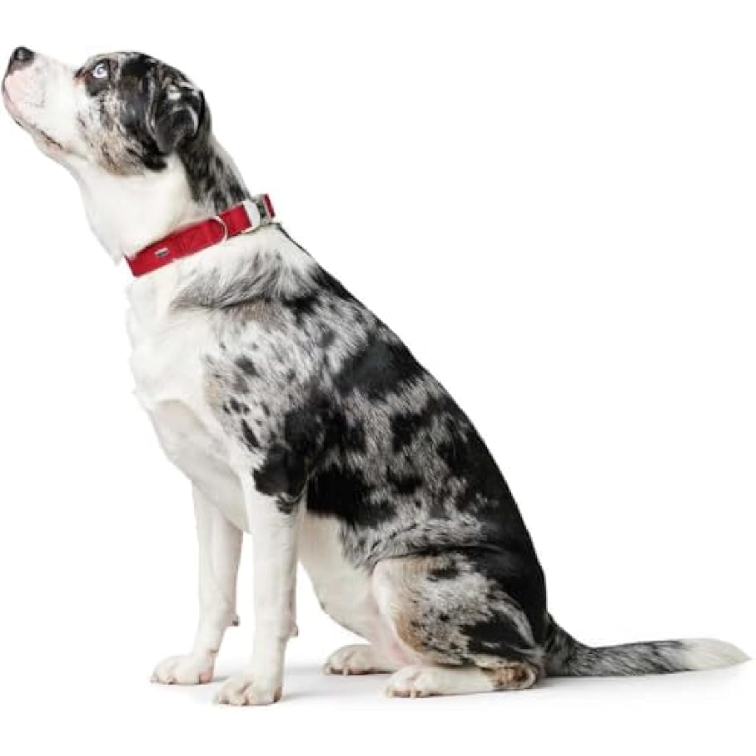 Hunter - Collar Softie Alu-Strong 40-55 cm red