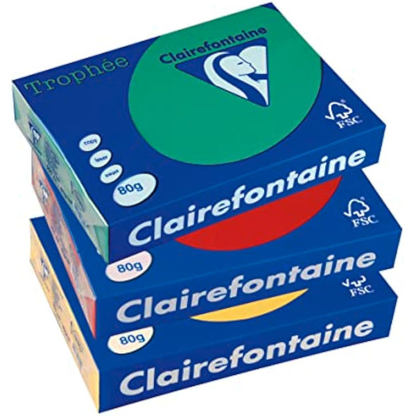 Clairefontaine 2226C Trophee Printer Paper/Copier Paper Intense Colours DIN A4 210 g 250 Sheets Steel Grey 1 Ream