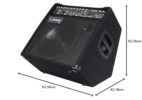 Laney AUDIOHUB Series AH80 - Multi-Input Combo Amp - 80W - 10 inch Woofer plus Horn, Black