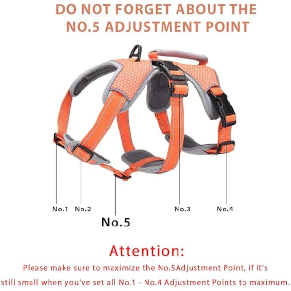 BELPRO Multi-Use Support Dog Harness, Escape Proof No Pull Reflective Adjustable Vest with Durable Handle, Dog Walking Harness for Big/Active Dogs (Orange, S)