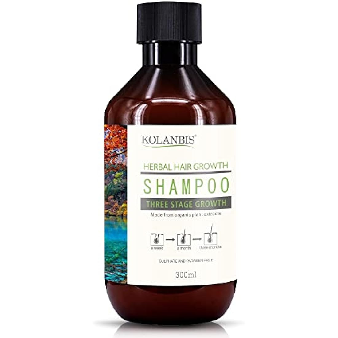 Kolanbis Hair Growth Shampoo | 100% Natural Formula | Made from Organic Plant Extracts | Sulphate and Paraben Free | Increases Hair Growth | Reduces Hair Loss | Men and Women