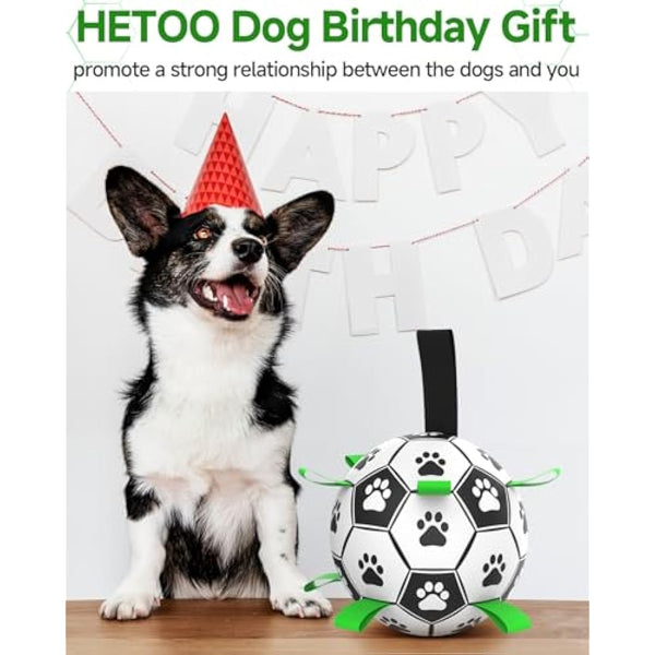 HETOO Interactive Dog Football Toys with Grab Tabs, Durable Dog Water Balls for Small Medium Breed, Indoor & Outdoor (6 Inch)