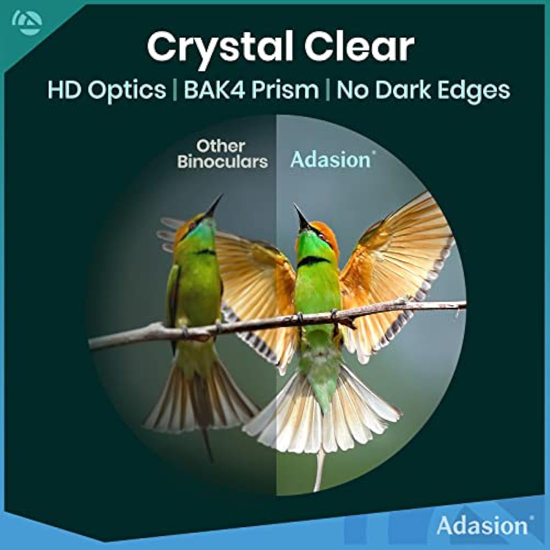 12x42 HD Binoculars for Adults High Power with Phone Adapter and Tripod- Super Bright Binoculars with Large View- Lightweight Waterproof Binoculars for Bird Watching Stargazing Cruise Travel Hiking