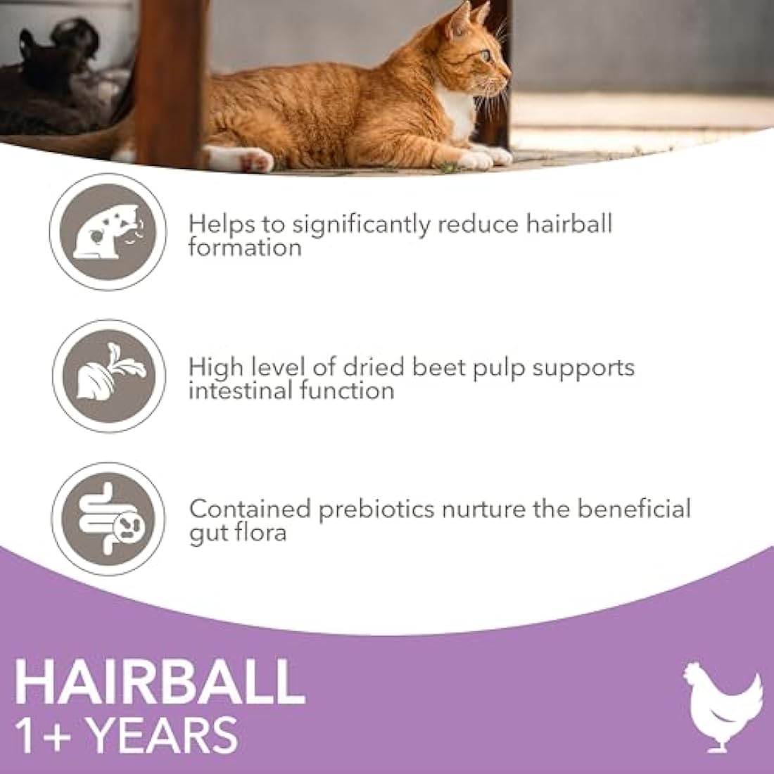 IAMS Hairball Complete Dry Cat Food Chicken 10kg - Significantly Reduces Hairball Formation