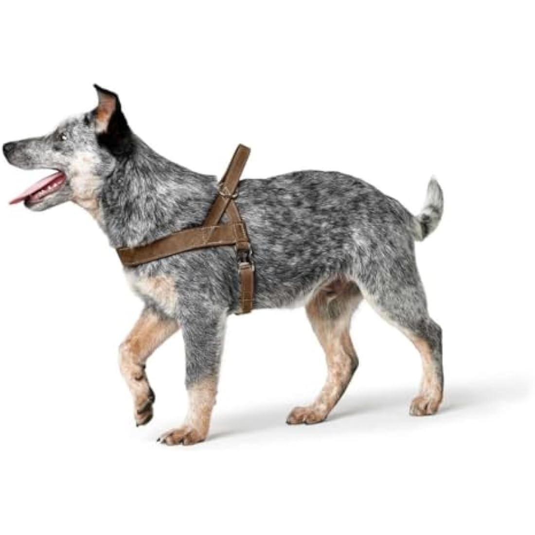 HUNTER Norwegian harness for Dogs Hunting, 45 x 58-79 cm, Brown
