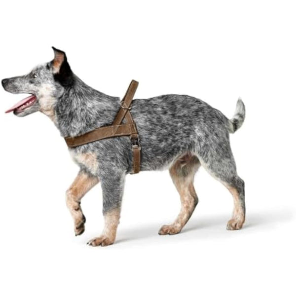 HUNTER Norwegian harness for Dogs Hunting, 45 x 58-79 cm, Brown