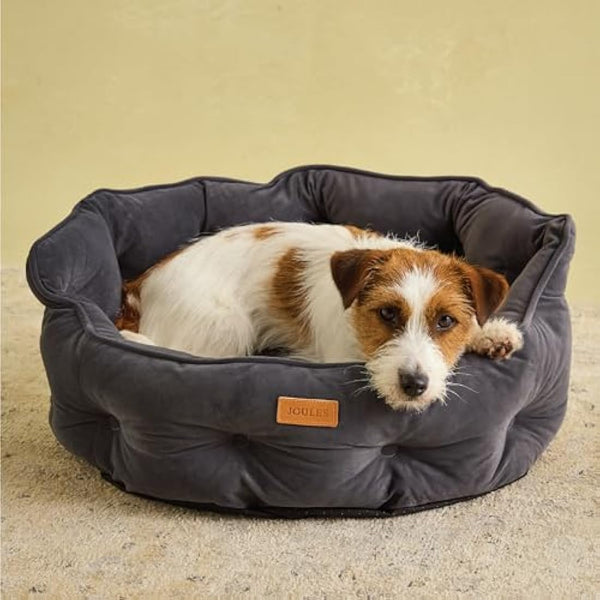 Joules Chesterfield Pet Bed Grey Large