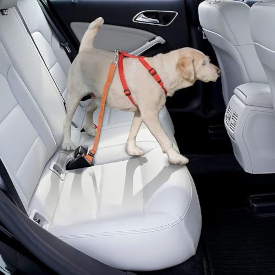 GoBuyer Dog Car Seat Belt for Pet Dogs Safety Harness Travel Accessories in UK, with Adjustable Heavy Duty Nylon and Anti Shock Elastic Bungee Buffer (Orange, Pack of 2)