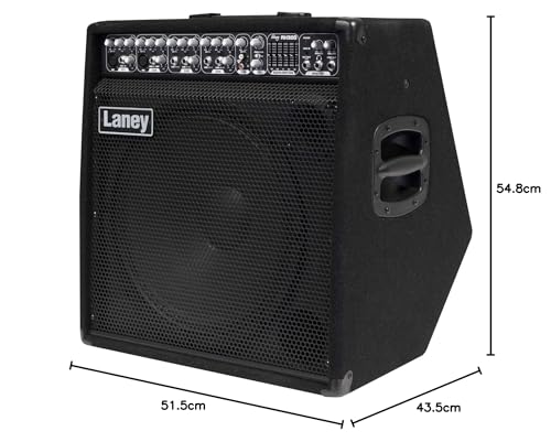 Laney AUDIOHUB Series AH80 - Multi-Input Combo Amp - 80W - 10 inch Woofer plus Horn, Black