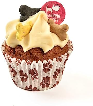 DOG BIRTHDAY CAKE Dog Food | Dog Biscuits Dog Treats Puppy Treats. Dog Training Treats Puppy Training Treats. Bakery Fresh Dog Treat. Vanilla Woofin With Frosting Dog Birthday Present (Vanilla)