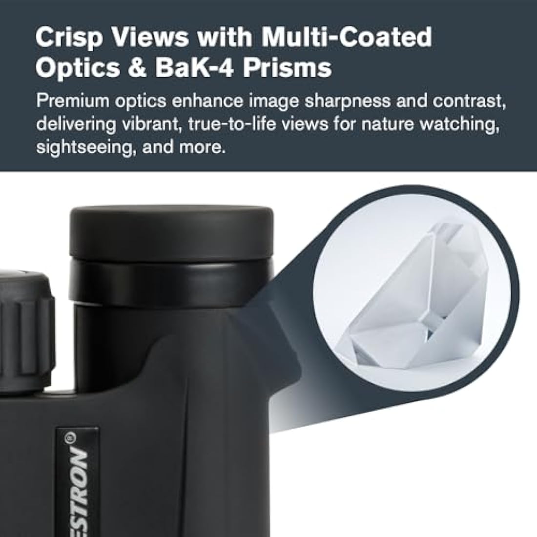 Celestron 71340 Outland X 8x25 Compact Roof Prism Binoculars, Black