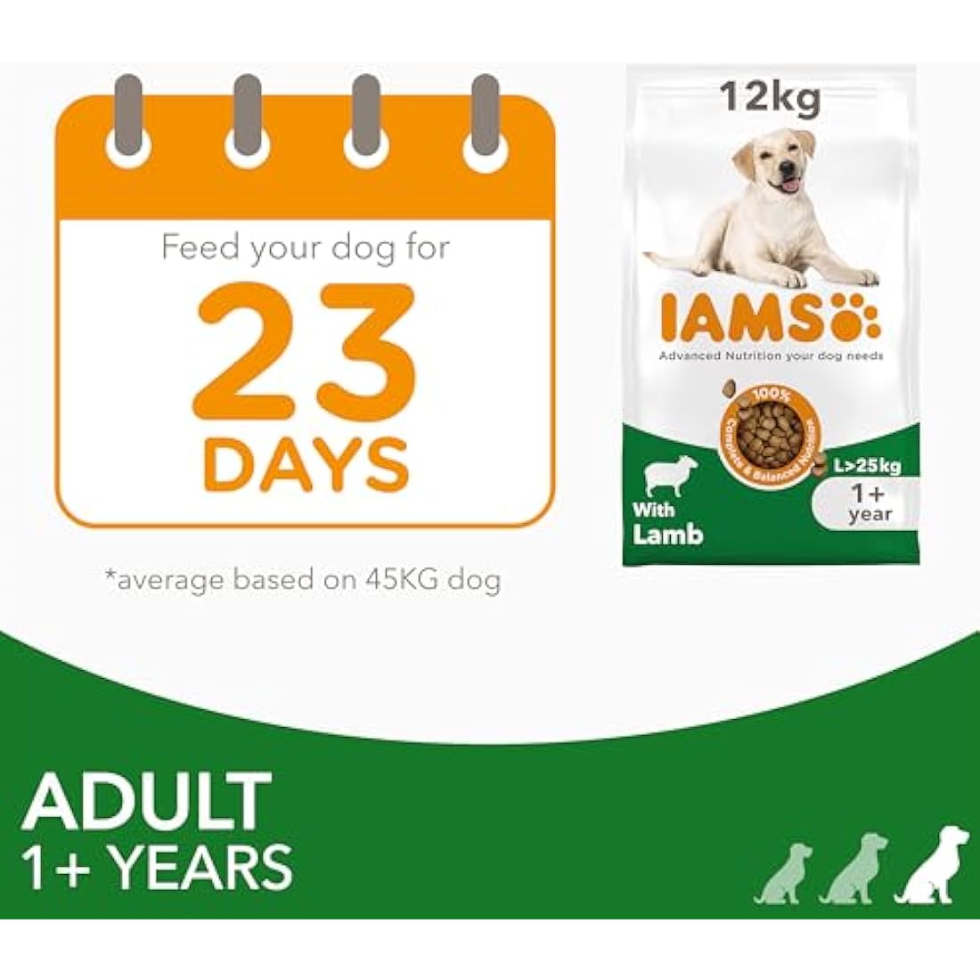 IAMS Adult Large Complete Dry Dog Food Lamb 12kg - With DentalCare System