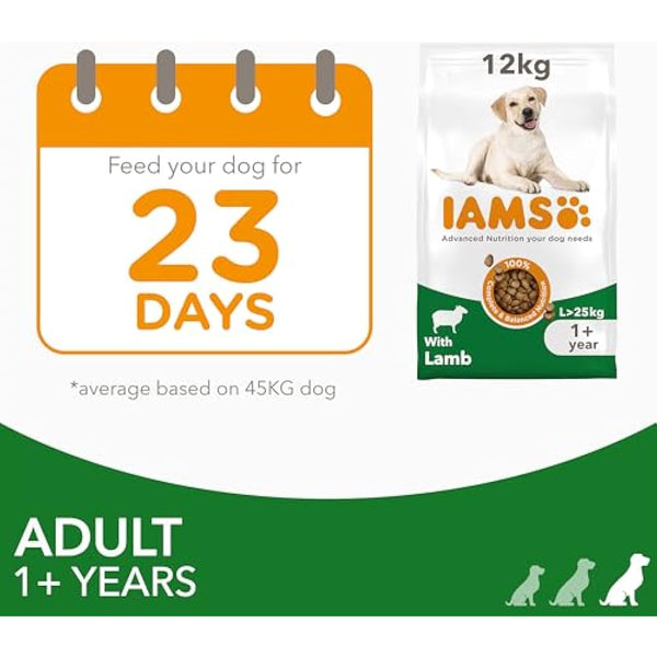 IAMS Adult Large Complete Dry Dog Food Lamb 12kg - With DentalCare System