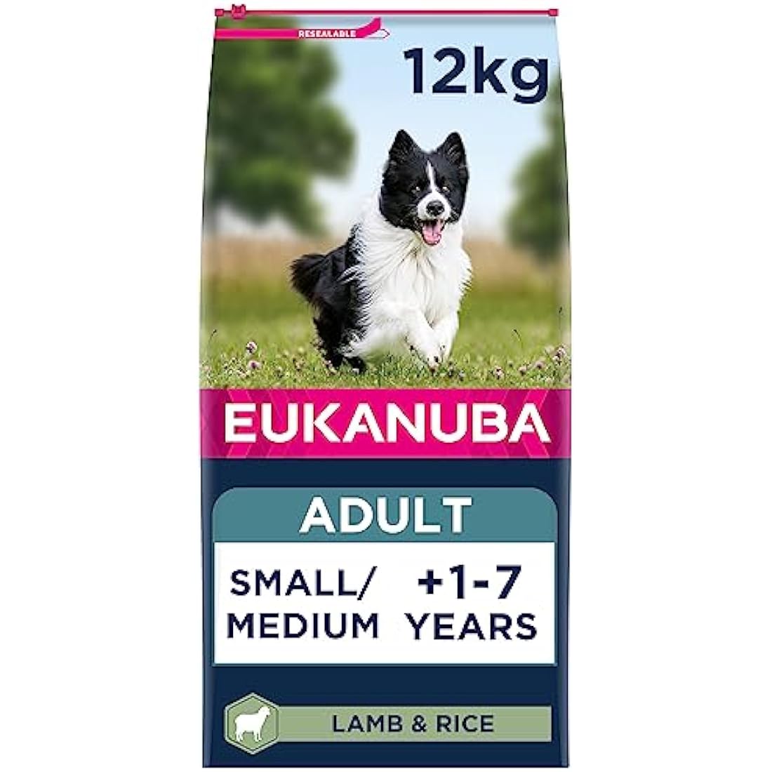 Eukanuba Complete Dry Dog Food for Adult Small and Medium Breeds with Lamb and Rice 12 kg