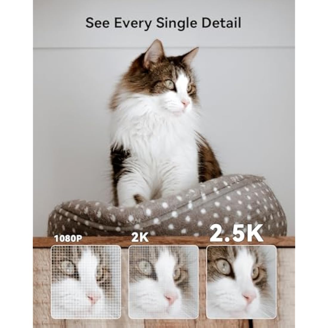 Imou 2.5K Security Camera Indoor, WiFi Camera 4MP, Pet Dog Camera Baby Monitor with Motion Sound Detection, 360° Rotation, 10M Night Vision, 2-Way Audio, Privacy Mode, Works with Alexa, 2.4GHz Only