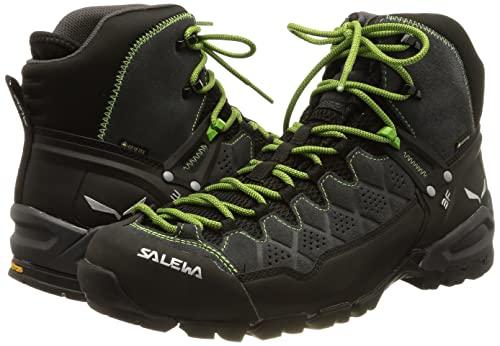 Salewa Alp Trainer Mid Gore-Tex Men's Boots
