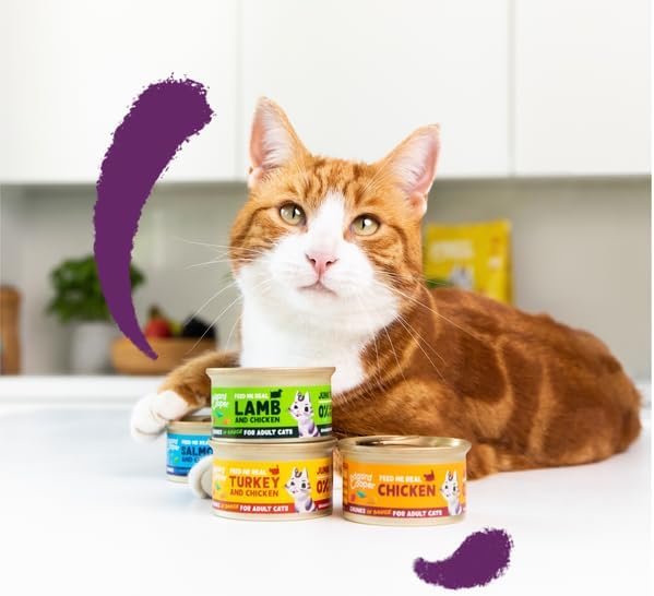 Grain Free Wet Cat Food in Gravy for Adult Cats (Salmon&Chicken 16 x 85g), Natural Cat Food in Chunks for Sterilized or Active Cats, No Added Sugar