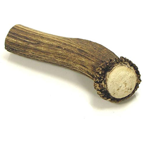 Ace Antlers Deer Antlers for Dogs (Monster 600-700g Piece) - Natural Dog Antler Chews for Chewing Satisfaction - 8 Sizes inc Small, Medium and Large Antlers for Puppies and Adult Dogs