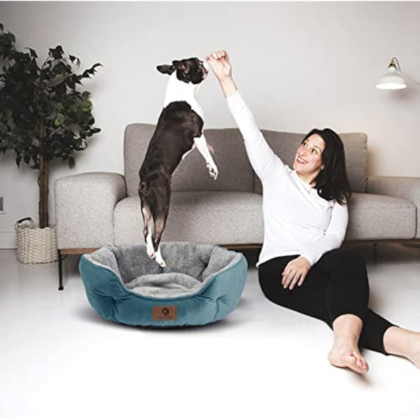 Asvin Medium Dog Bed for Medium Dogs, Cat Beds for Indoor Cats, Pet Bed for Puppy and Kitty, Extra Soft & Machine Washable with Anti-Slip & Water-Resistant Oxford Bottom, Teal, 25 inches