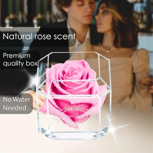 Eternal Petals A 100% Real Rose That Lasts A Year - The Perfect Unique Gift for Women and Men, An, A Birthday Gift (Pink)