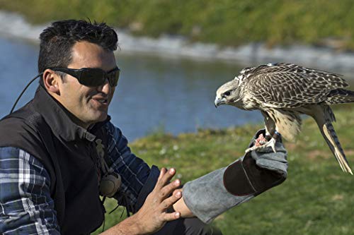 RAPICCA Animal Handling Gloves Bite Proof Reinforced Leather Padding Dog,Cat Scratch,Bird Handling Falcon Gloves Grabbing,Reptile Squirrel Snake Bite 16in/40cm