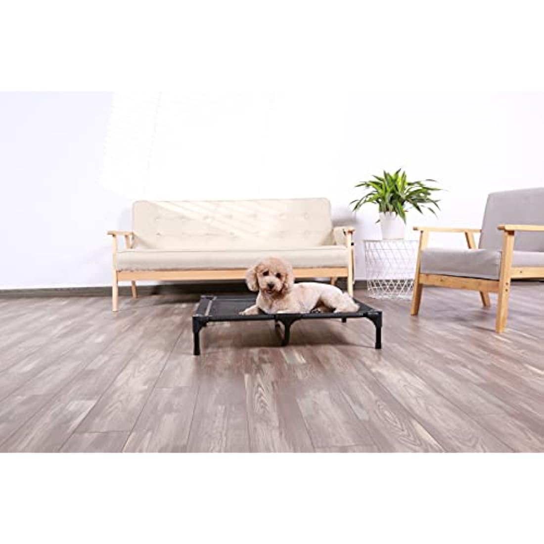 ANWA Elevated Dog Bed Large Size, Raised Dog Bed Outdoor Use, Portable Dog Cot Large Dogs