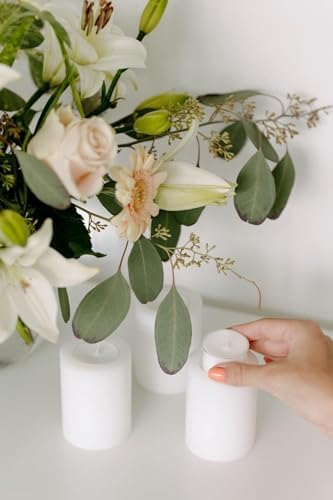 Horeca Candles - Tea Light Candles in Clear Cup 200 Pack - 8 Hours Burn Time - White Wax - Smokeless, Dripless, Unscented Candles Bulk