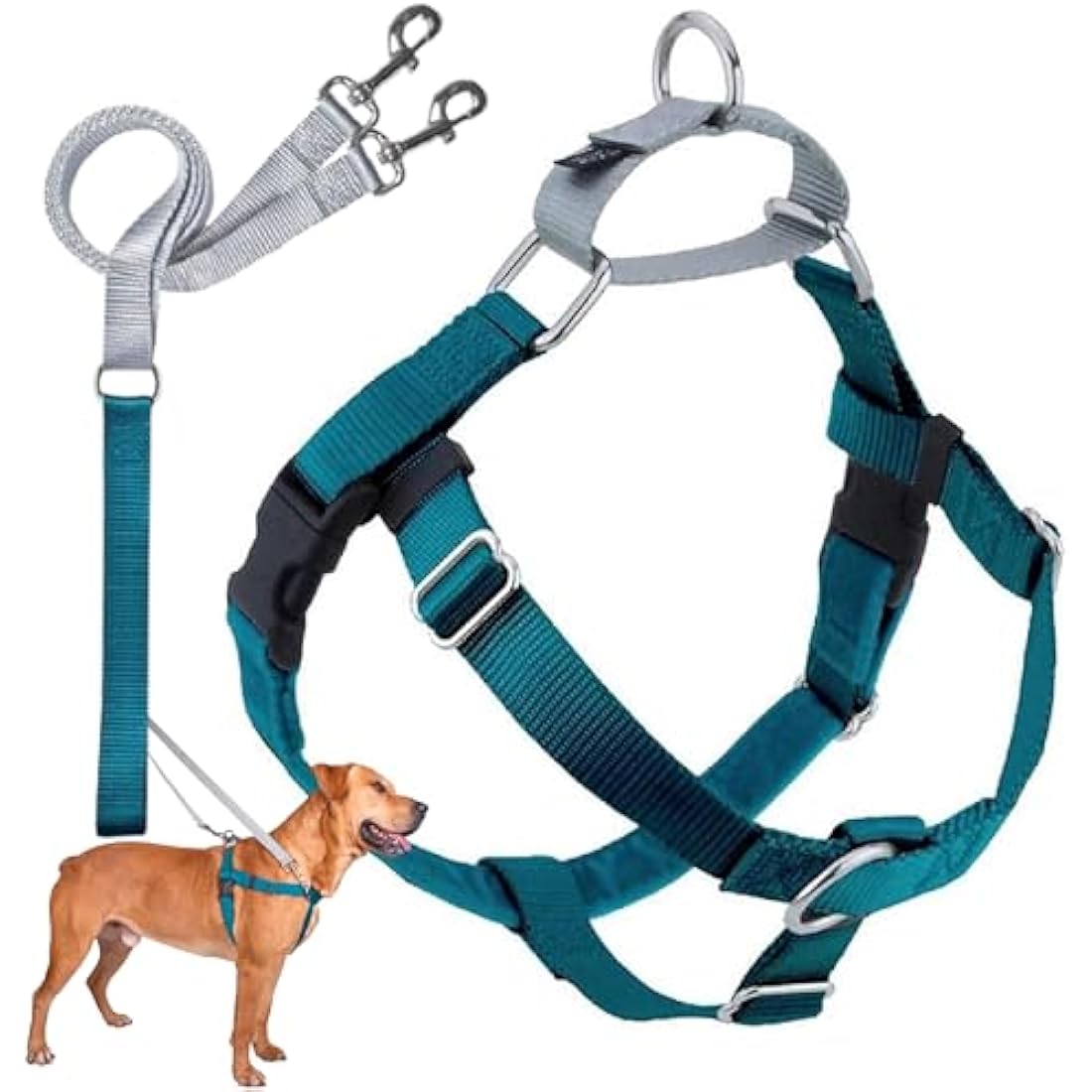 2 Hounds Design Freedom No-Pull Dog Harness with Leash, Medium, 5/8-Inch Wide, Teal
