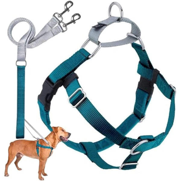 2 Hounds Design Freedom No-Pull Dog Harness with Leash, Medium, 5/8-Inch Wide, Teal