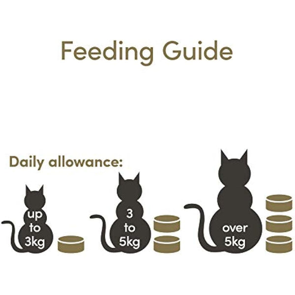 Applaws Complete Wet Cat Food for Senior Adult Cats, Tuna and Chicken Selection in Jelly Tin 6 x 70g