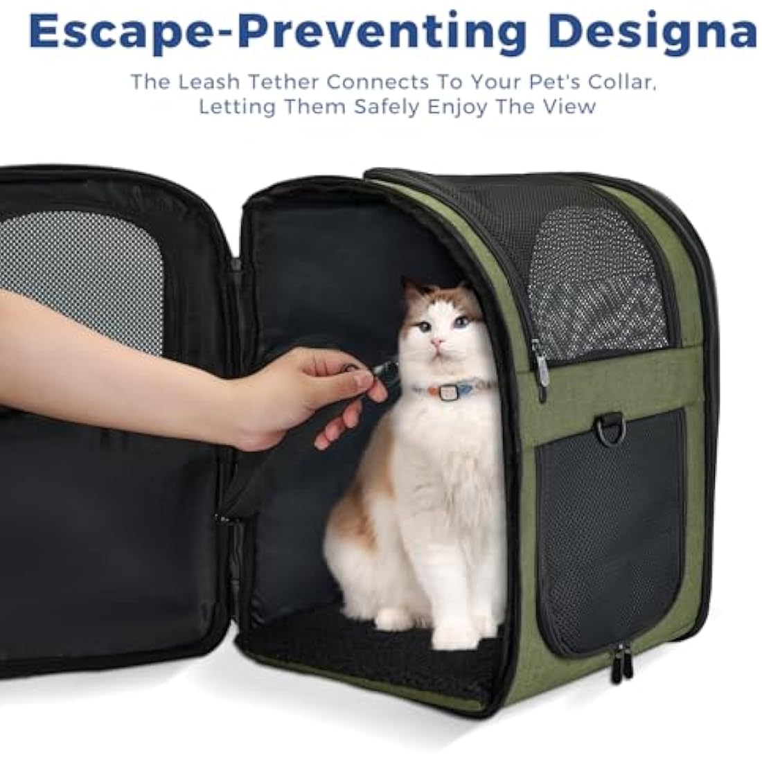 Apollo Walker Cat Carrier and Dog Carrier, for Large and Small Cat Pets (2-15 kg), Breathable Mesh Pet Carrier, Ideal for Hiking, Travel, and Outdoor Activities (Green)