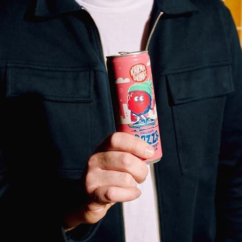 Karma Drinks Razza Raspberry Pink Lemonade (250ml x 24 Cans Soft Drink), Organic, Gluten Free Lemonade cans, Natural Ingredients, FairTrade, Vegan Friendly, No GMO, Carbonated Fizzy Drinks 24 Pack