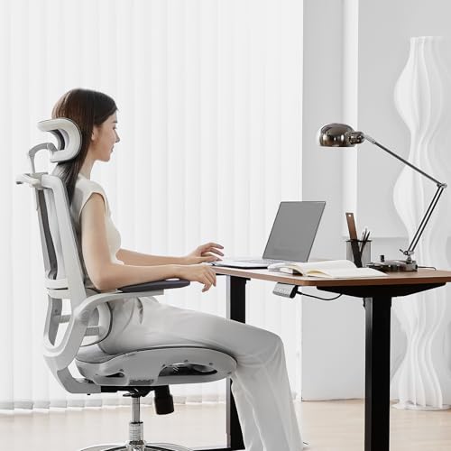 SIHOO M59AS Ergonomic Office Chair, Desk Chair with 3D Coordinated Flip-up Armrests, Computer Chair with Dual Back Design and Adaptive Dynamic Lumbar