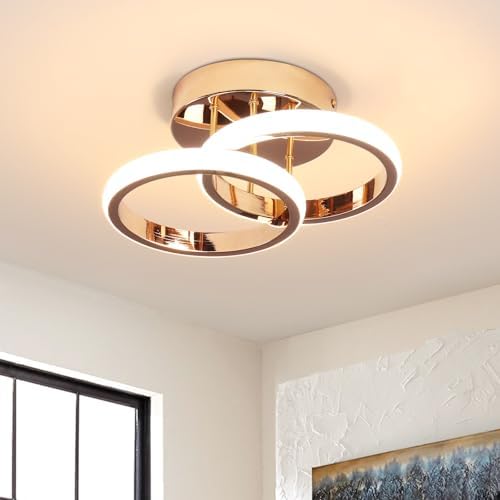 EIDISUNY LED Ceiling Light Modern Ceiling Lamp Gold Round Simple Ceiling Lights Fixture LED for Corridor Kitchen Stairs Hallway Study Room Bedroom Living Room - Chrome Gold 22W Natural Light 4500K.