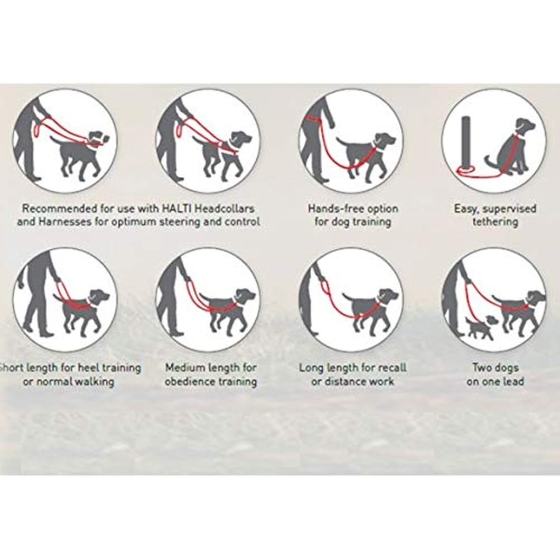HALTI Double-Ended Lead For Dogs, Size Small, Red, 2m, Best Premium Puppy & Dog Leash, Neoprene-Padded, Easy to Use, Reflective, Adjustable Lengths, Ideal Dog Lead for Hands Free Running & Training