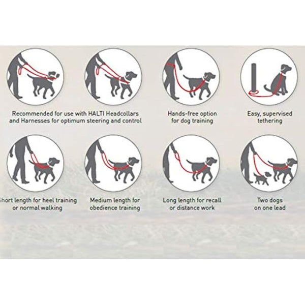 HALTI Double-Ended Lead For Dogs, Size Small, Red, 2m, Best Premium Puppy & Dog Leash, Neoprene-Padded, Easy to Use, Reflective, Adjustable Lengths, Ideal Dog Lead for Hands Free Running & Training