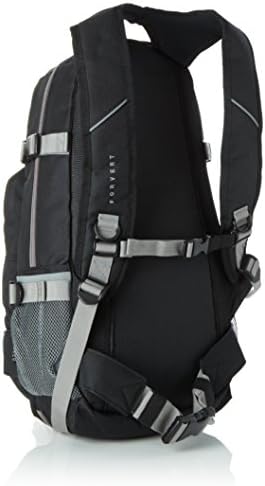 Forvert Unisex Backpack Ice Louis Backpack (pack of 1)