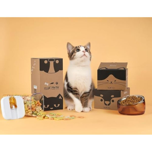 Felli Pet Whisker Stress Friendly Raised Angled Cat Wet Food Bowl Stainless Steel Shallow Dish Tilted, Anti Vomit, Slanted Feeding Plate Metal Elevated Acrylic Flat Faced Dog (0.5 Cups, Gold)