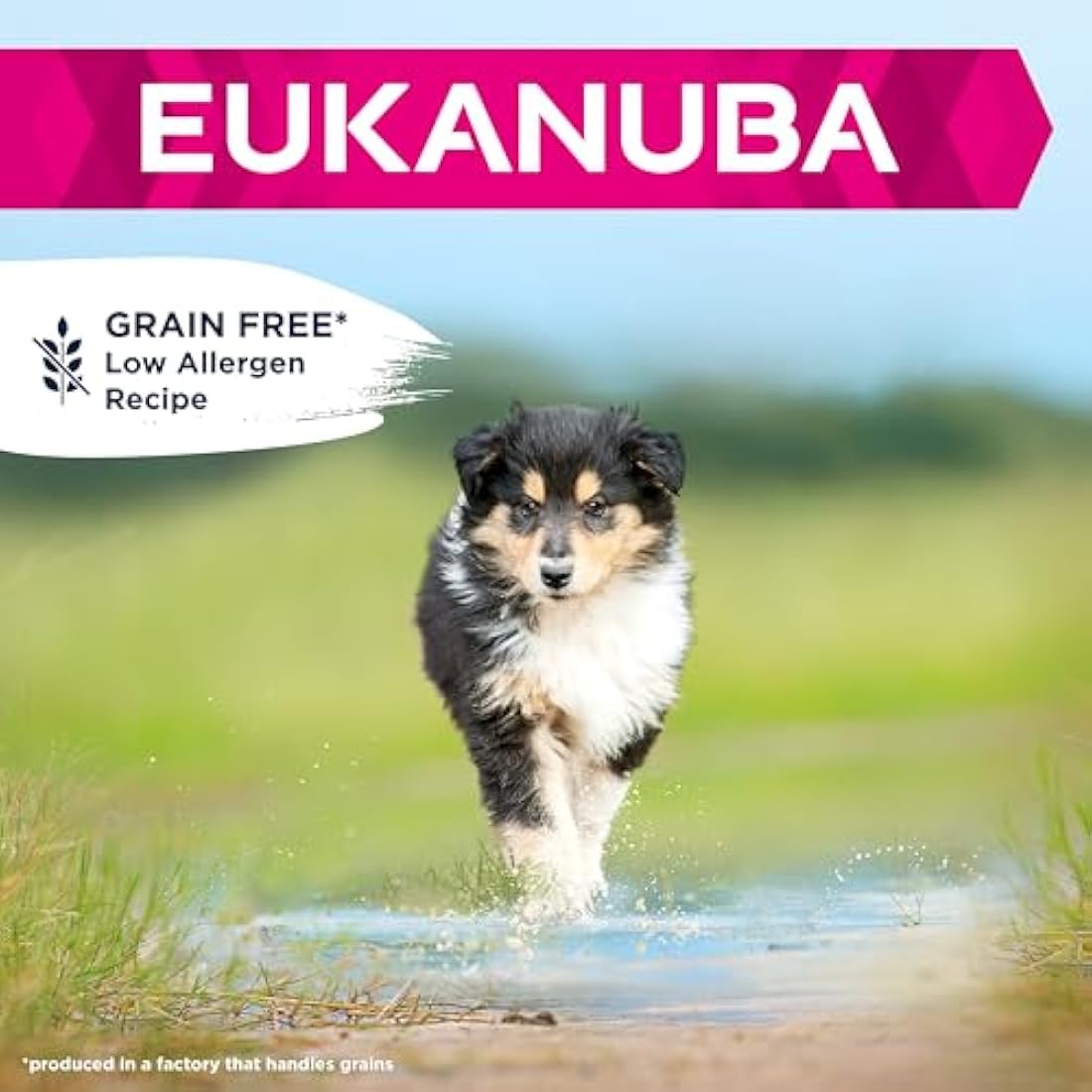 Eukanuba Grain Free Complete Dry Dog Food for Puppy Large and Giant Breeds with Fresh Chicken 12 kg