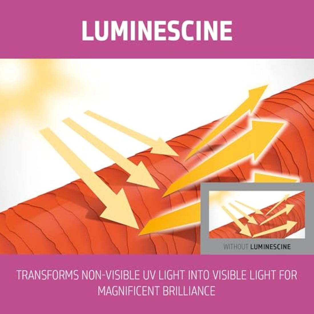 Goldwell Dualsenses Color Brilliance Conditioner, 1 Litre