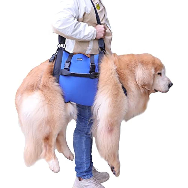 Dog Carry Sling, Emergency Backpack Pet Legs Support & Rehabilitation Dog Lift Harness for Nail Trimming, Dog Carrier for Senior Dogs Joint Injuries, Arthritis, Up and Down Stairs (Blue, XL)