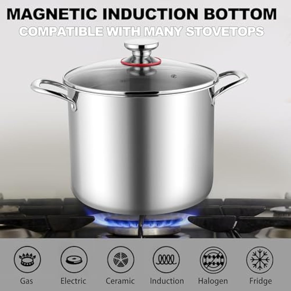 Joyfair Large Stock Pot, 10L Tri-Ply Stainless Steel Stockpot with Glass Lid, Induction/Gas/Ceramic/Electric/Halogen Safe Soup Pot for Simmering Stewing, Heavy-Duty & Riveted Handles & Easy Clean