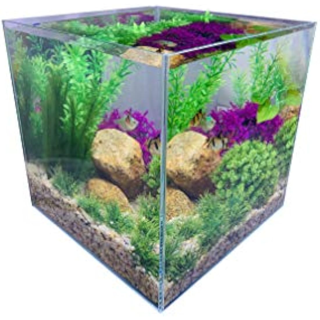 26 Litre Rimless Low Iron Glass Aquarium Tank (11.8" L × 11.8" W × 11.8" H / 30cm x 30cm x 30cm), Thickness Standard Jointed