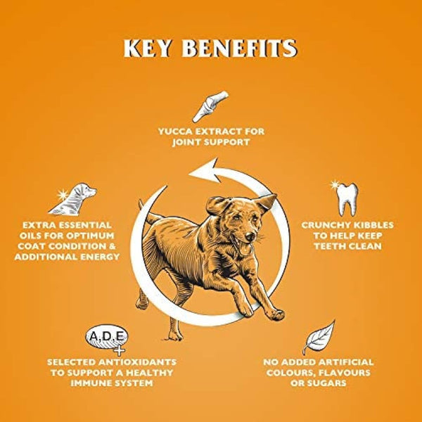 Dr John Gold Complete Dry Dog Food, Chicken with Vegetables, 15 kg